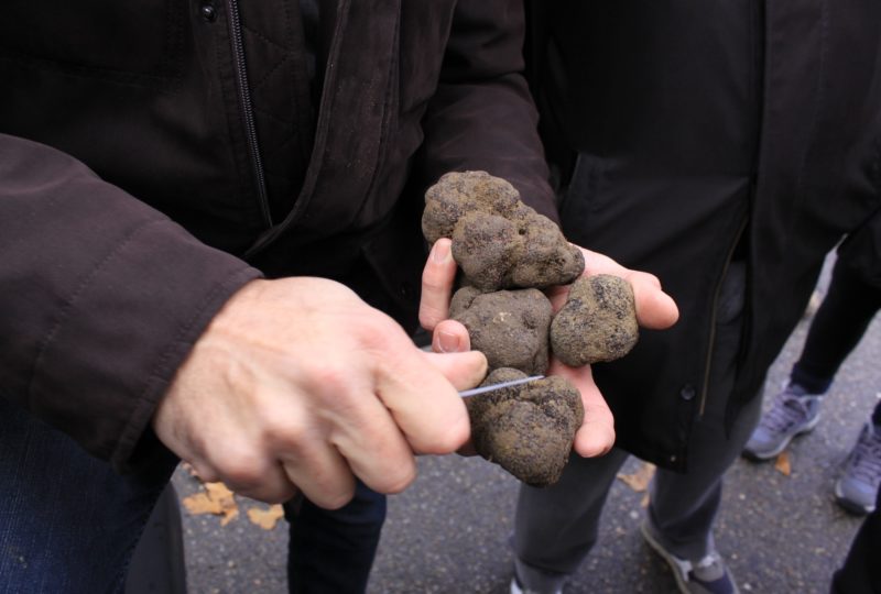 Marché aux truffes à Richerenches - 2