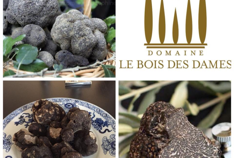 Week-end découverte de la truffe à Chantemerle-lès-Grignan - 0