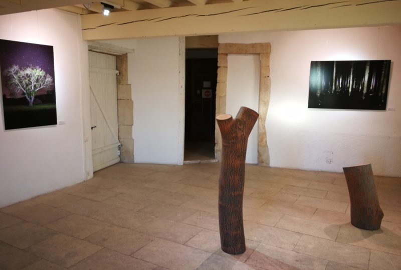 Maison de la Tour – Espace d’Art à Valaurie - 2