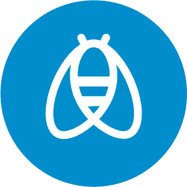 Apidae logo abeille bleu