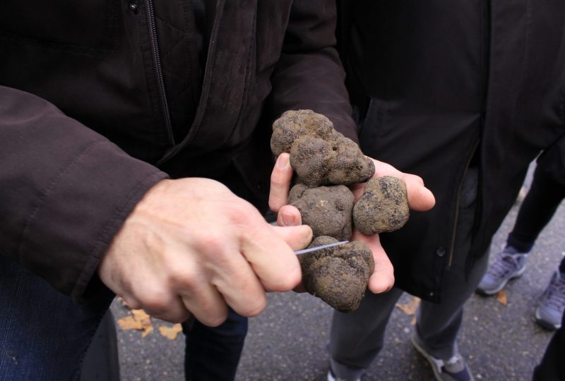 Marché aux truffes à Richerenches - 3