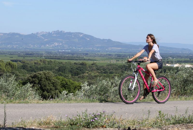 Tour des Côtes du Rhône à vélo à Orange - 5