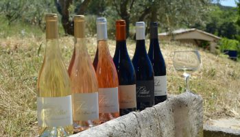 Domaine Piallat – Vin – Montbrison sur Lez
