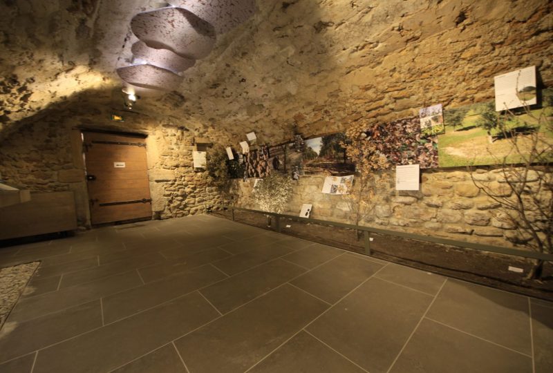 Musée de la truffe et du vin à Richerenches - 0