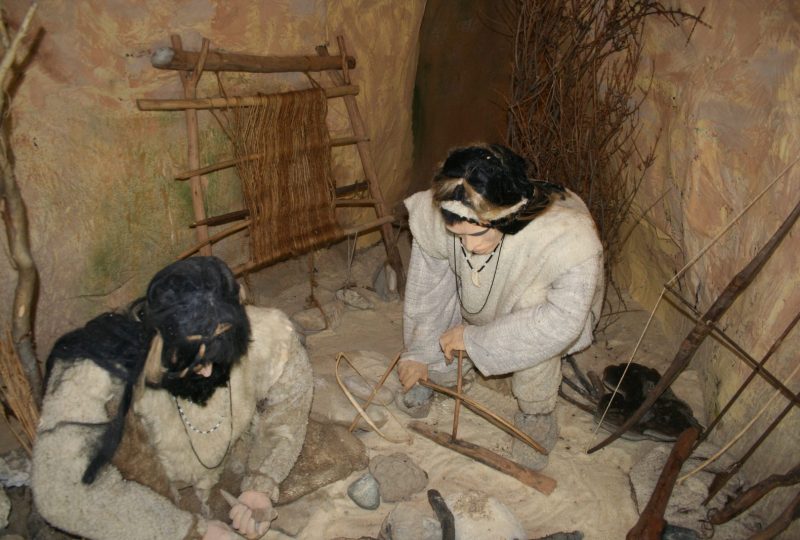 Musée de pays – Archéologie et Paléontologie à Valréas - 0