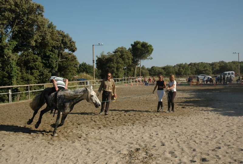 Elevage Peyron-Centre Equestre à Chamaret - 1