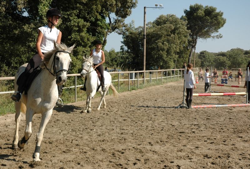 Elevage Peyron-Centre Equestre à Chamaret - 2